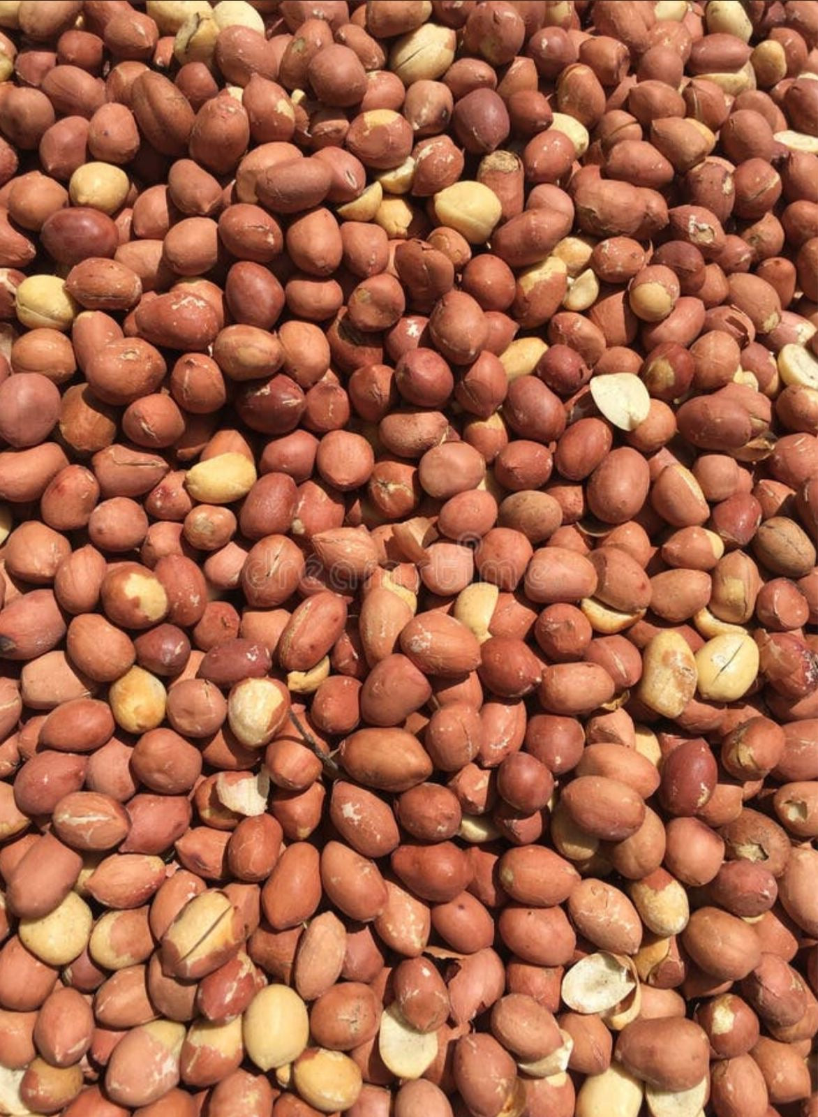 Amendoim de Cabinda 🥜 — Fresco, Saboroso e 100% Natural!