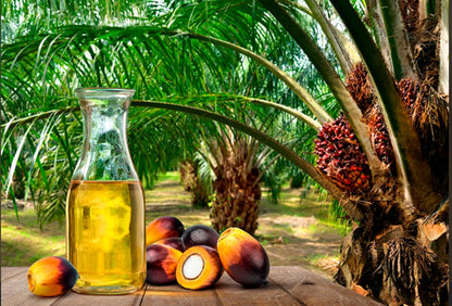 Óleo de Palma Depalms 1L 🌴 — O Tempero Essencial da Cozinha Angolana!