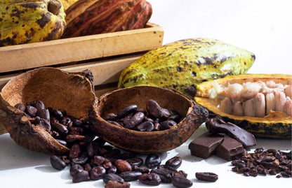 Cacau de Angola 🍫 — Grão Premium de Cabinda, Ouro Negro de África!