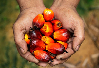 Óleo de Palma Depalms 1L 🌴 — O Tempero Essencial da Cozinha Angolana!