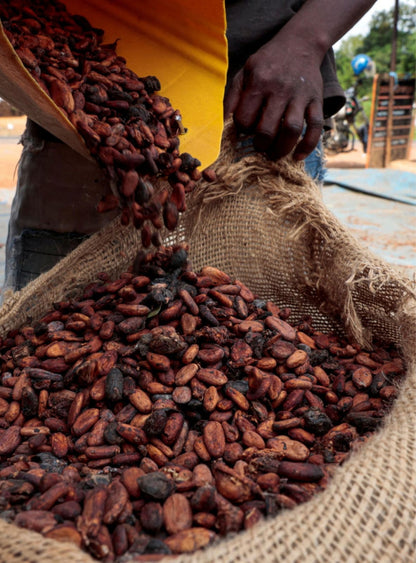 Cacau de Angola 🍫 — Grão Premium de Cabinda, Ouro Negro de África!
