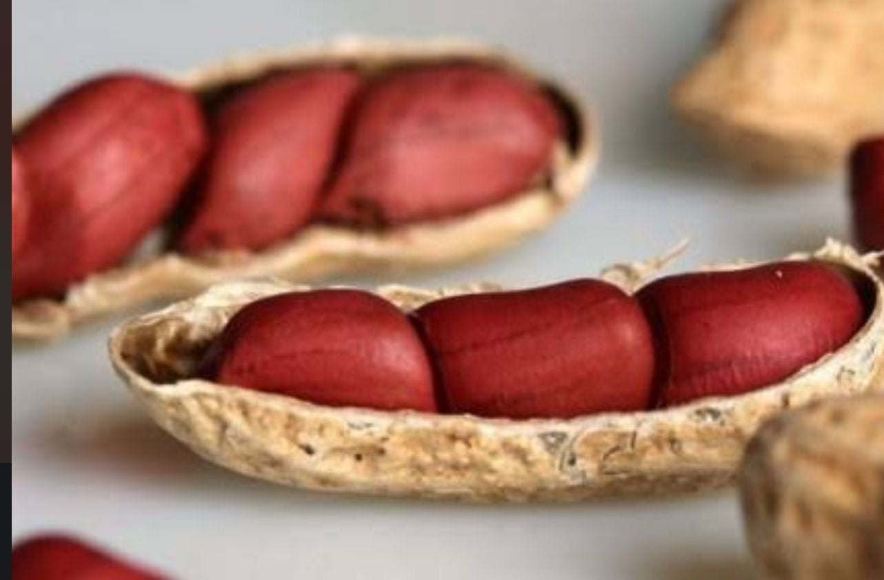 Amendoim de Cabinda 🥜 — Fresco, Saboroso e 100% Natural!