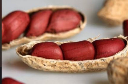 Amendoim de Cabinda 🥜 — Fresco, Saboroso e 100% Natural!
