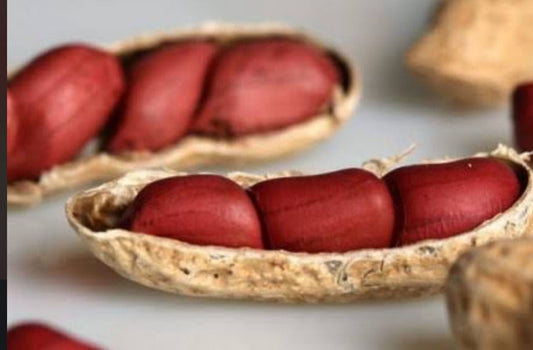 Amendoim de Cabinda 🥜 — Fresco, Saboroso e 100% Natural!
